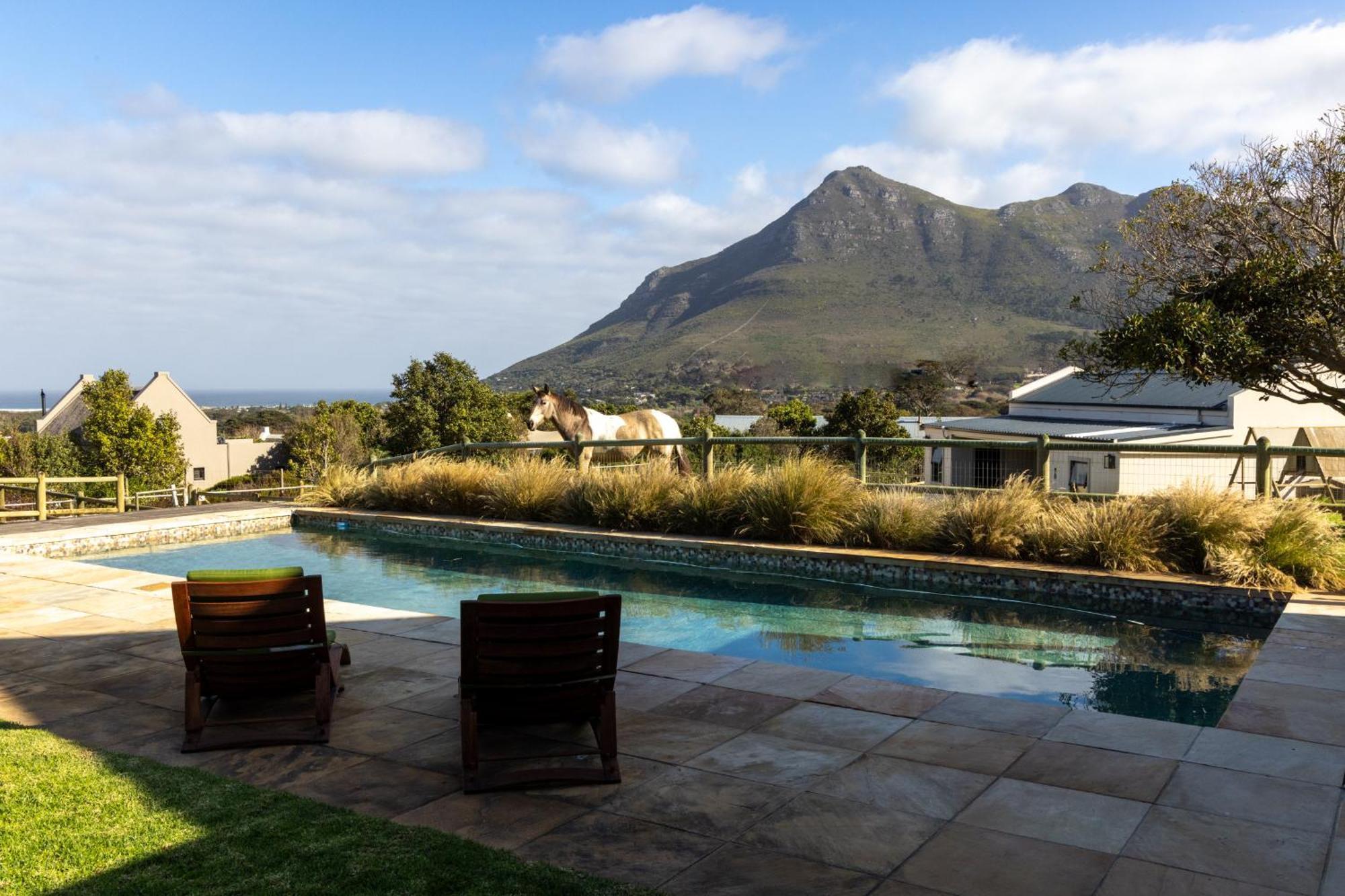 Serene, Thatched Apartment In Noordhoek, 开普敦 外观 照片